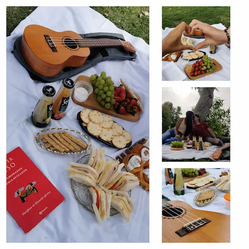 Collage cuadrado de momentos de picnic